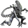 sefu